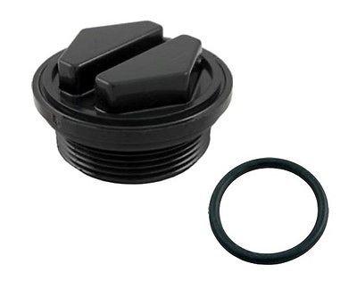 Pentair  Drain Plug with O-Ring for Clean  Clear