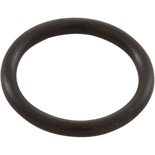 Pentair - O-Ring for Hose Connector, 2/pk