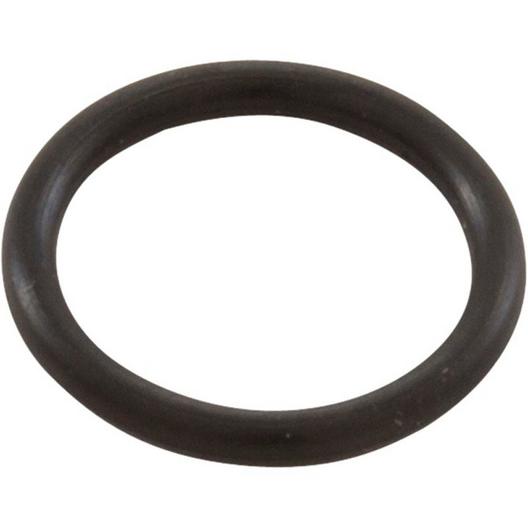 Pentair  O-Ring for Hose Connector 2/pk