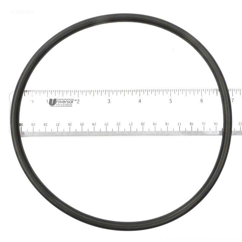 Epp  O-Ring lid (b)