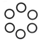 Pentair  Coil/Tubesheet Sealing O-Ring Kit for Max-E-Therm 200/MasterTemp