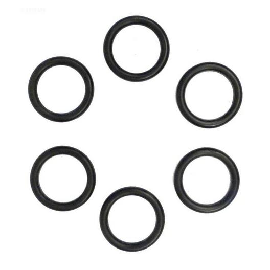 Pentair  Coil/Tubesheet Sealing O-Ring Kit for Max-E-Therm 200/MasterTemp