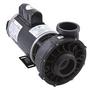 Viper 56-Frame 4HP Dual-Speed Spa Pump, 2-1/2in. Intake, 2-1/2in. Discharge, 230V