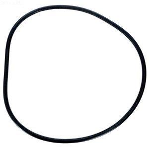Pentair  Lid O-Ring with Red Line for Purex SMBW 2000