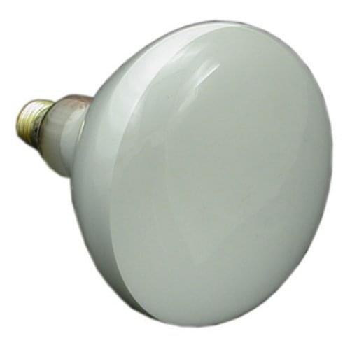 Replacement Lamp 300W 120V Pool