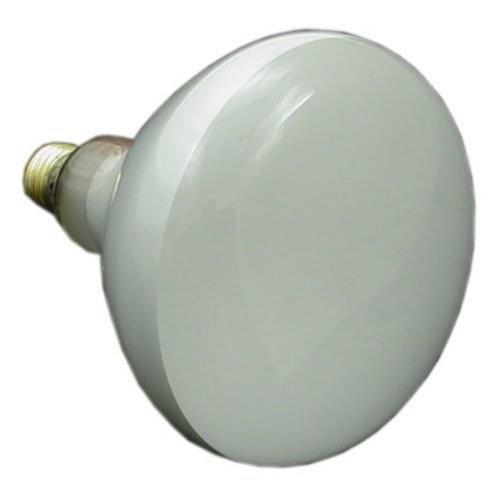 Jandy - Replacement Lamp 300W 120V Pool