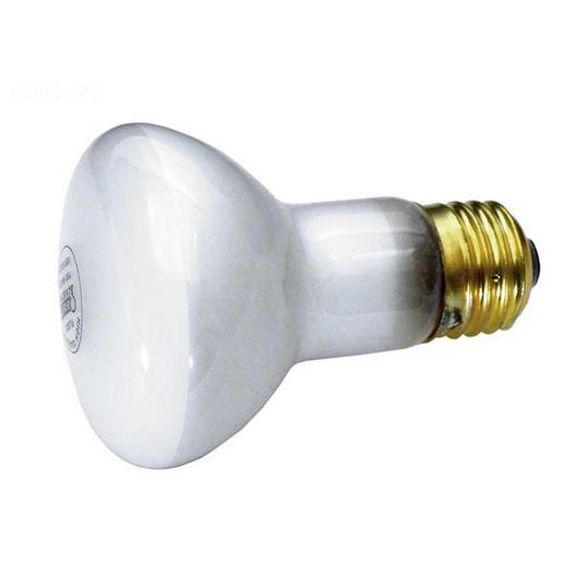 Jandy  Replacement Lamp 100W 120V