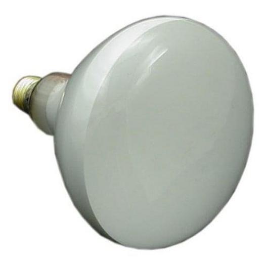 Jandy  Replacement Lamp 100W 12V