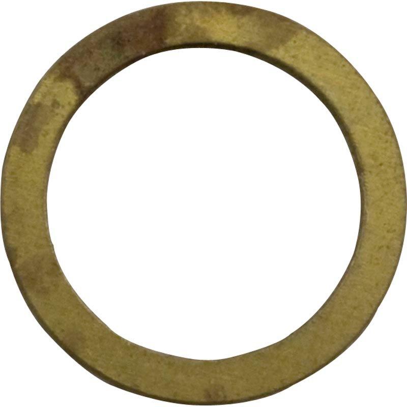 Pentair - Shim, .029 Thick