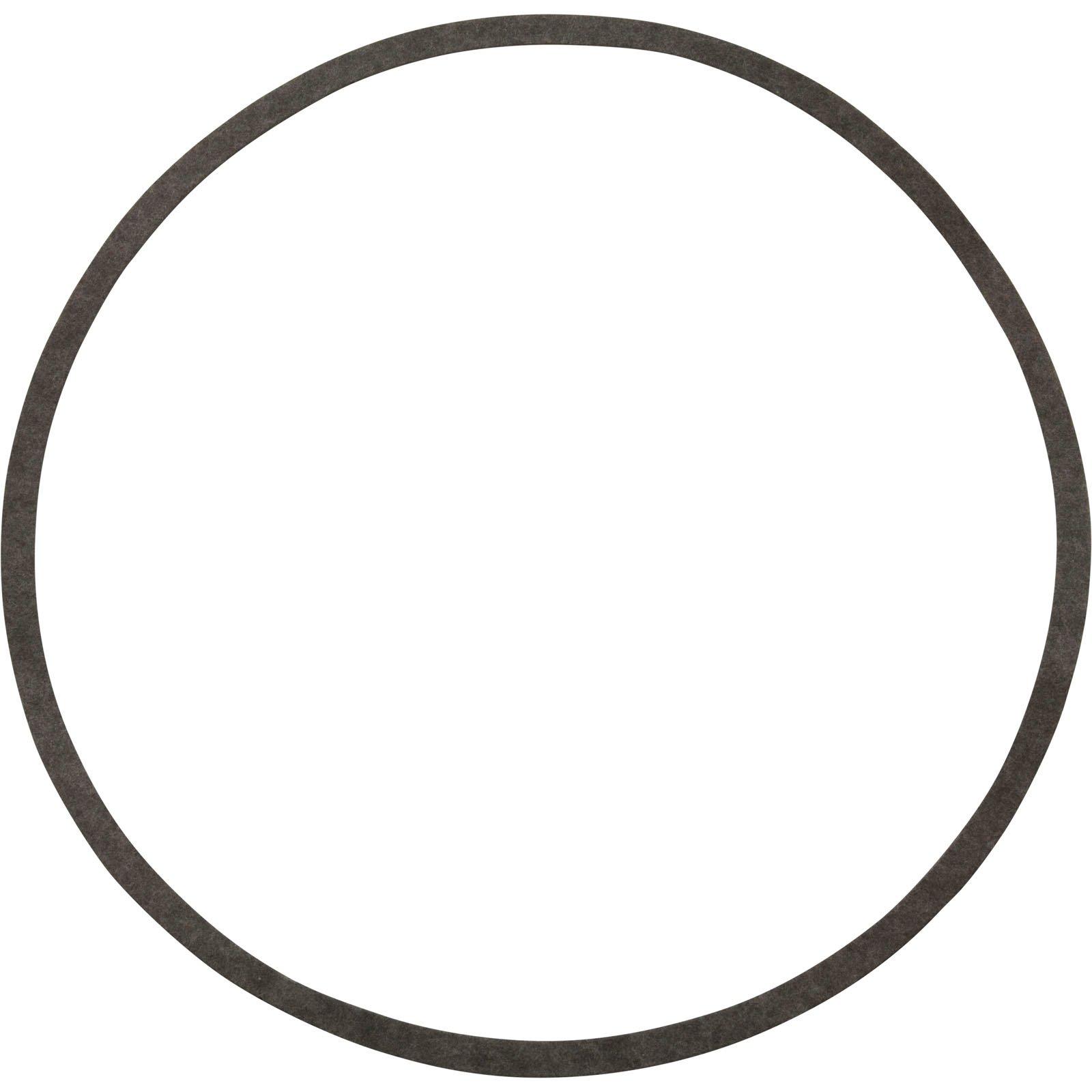 Gasket N20-39 - Sta Rite