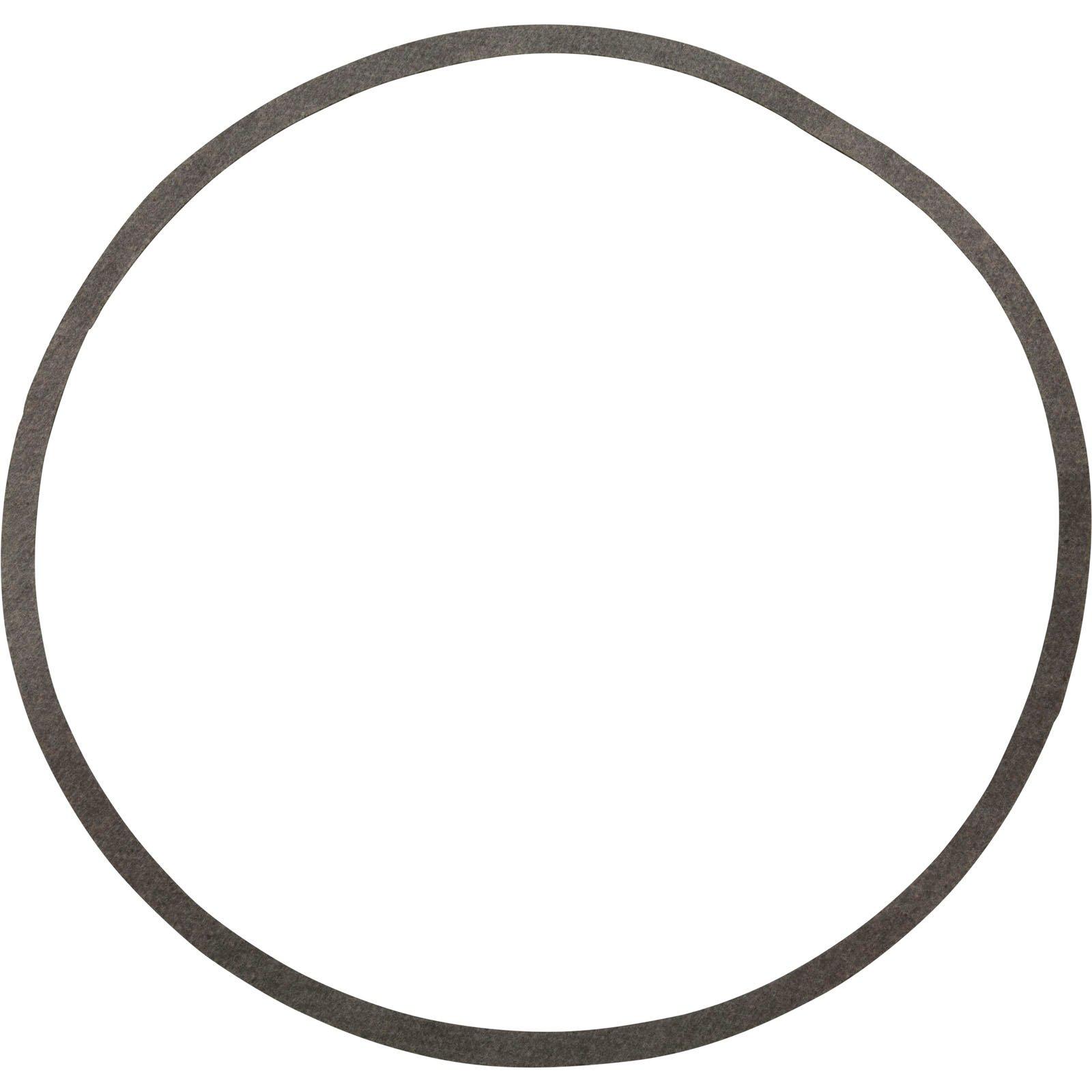 Aladdin Equipment Co  Gasket N20-39  Sta Rite