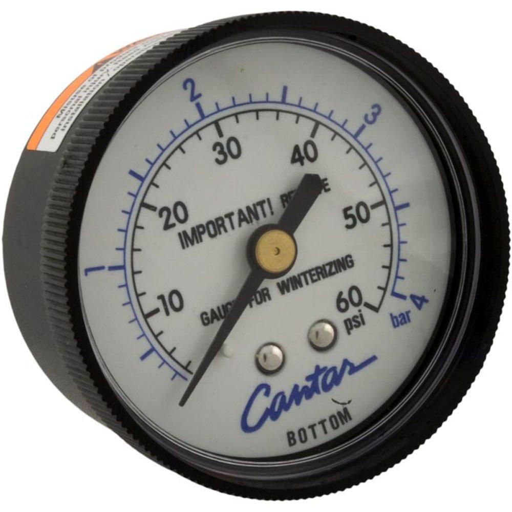 Jacuzzi&reg  Pressure Gauge