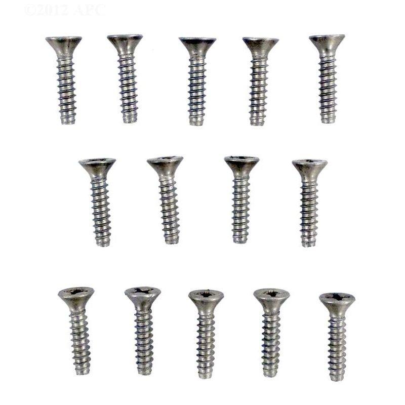 Jacuzzi&reg; - Flathead Screw SS WFL #12 x 1 inch