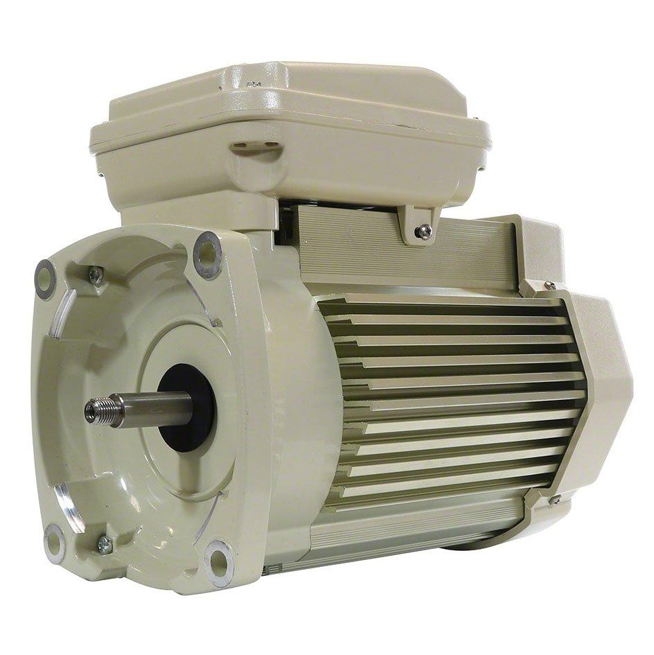 Pentair - Replacement 1-1/2 HP Motor almond 3 phase 208-23