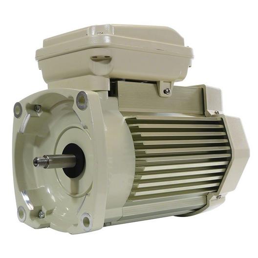 Pentair  Replacement 1-1/2 HP Motor almond 3 phase 208-23