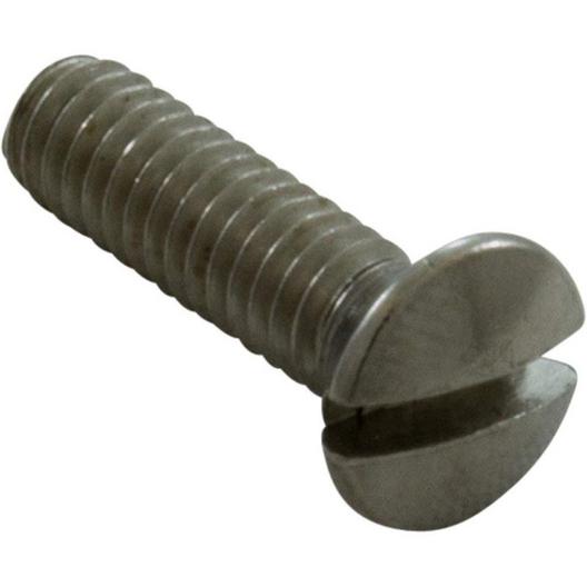 Jacuzzi&reg  Oval screw SS WWFL 1/4 inch-20 x 1-1/8