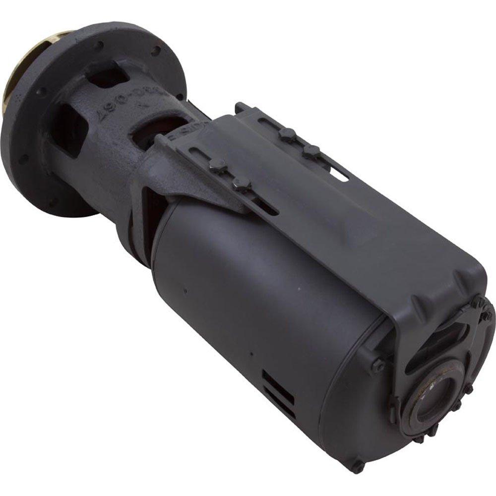 Raypak  Integral Pump 4.7 Impeller (a)