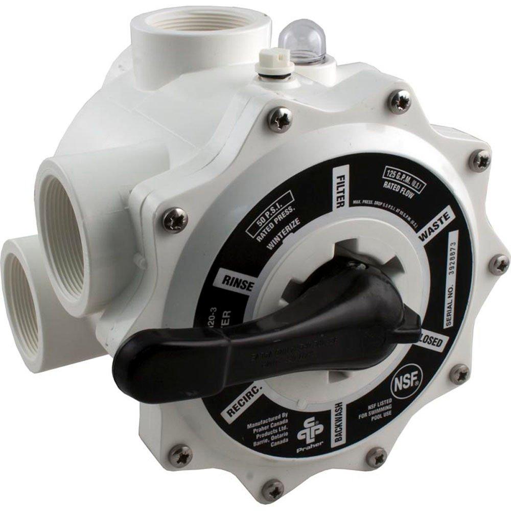 Praher 2in Sand FTP Multiport Valve for Sand Filter