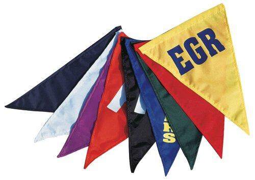 Competitor Backstroke Flags - Blue