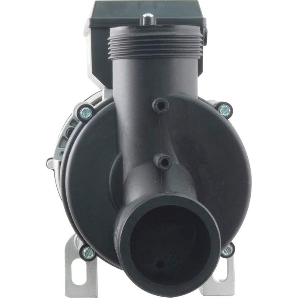 Balboa  WOW Spa Pump 1.0 HP 115V