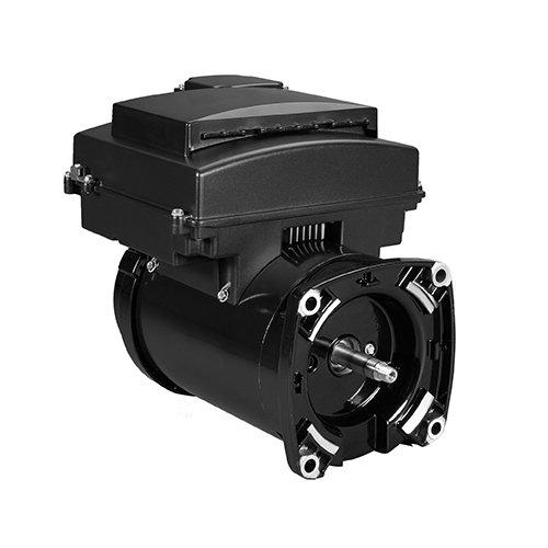 Programmable Variable Speed Motor SQ FL 3HP 56Y