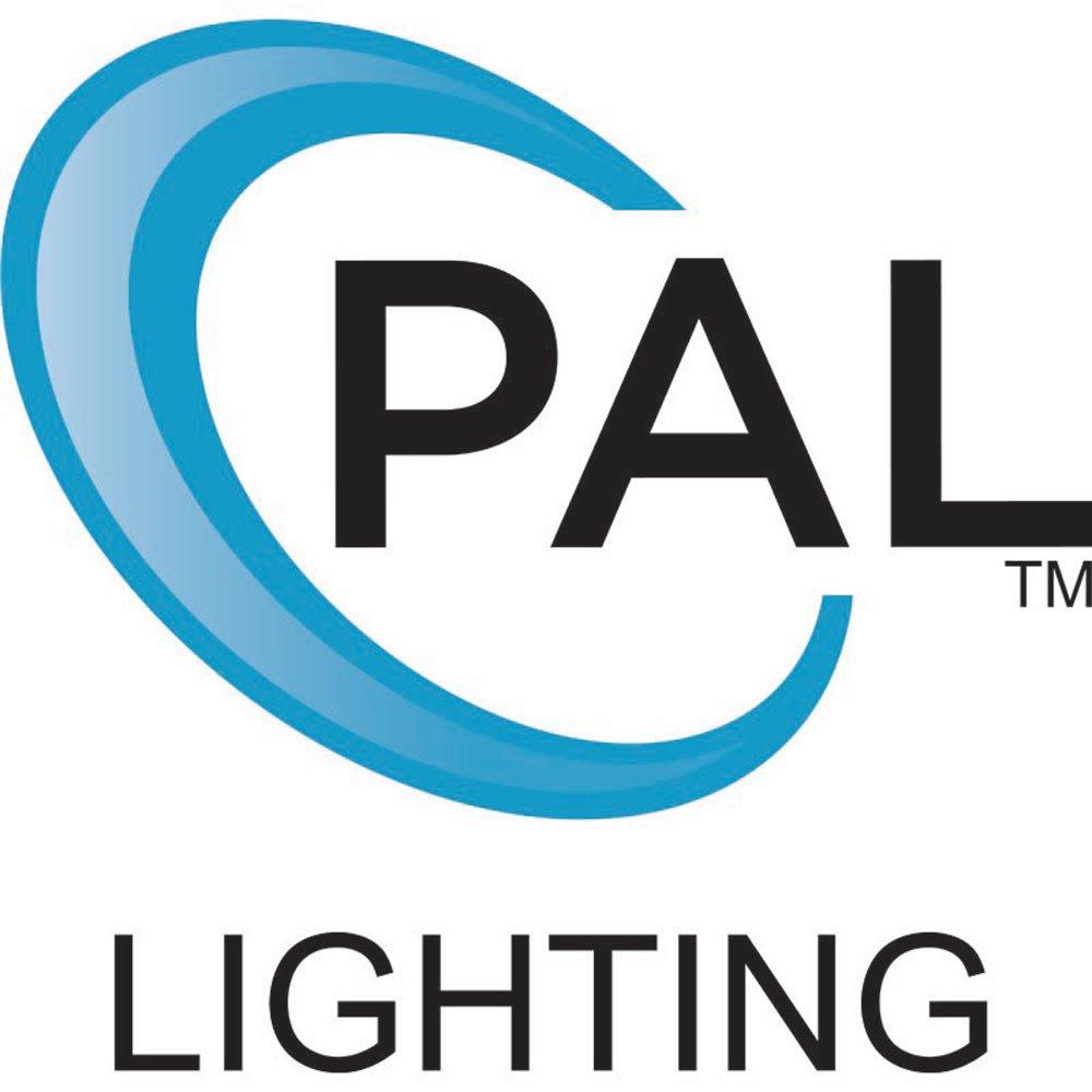 PAL-2T2 12v Color Changing LED Pool Light, 150' Cord