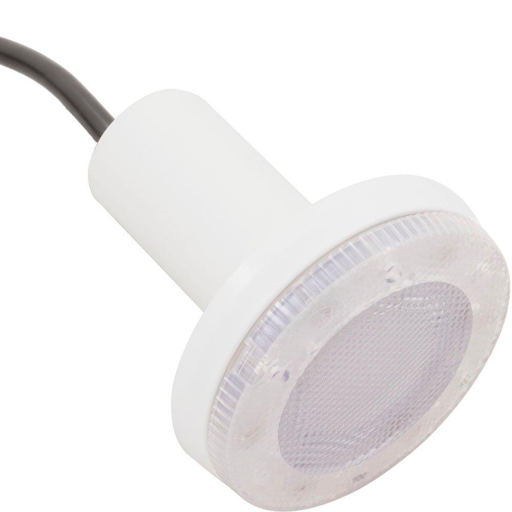 PAL-2T2 12V Cool White LED Pool Light, 79' Cord