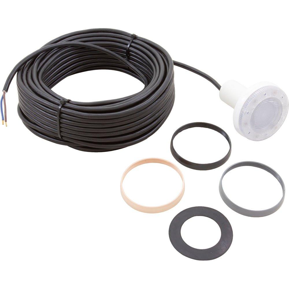 PAL-2T2 12V Cool White LED Pool Light, 79' Cord