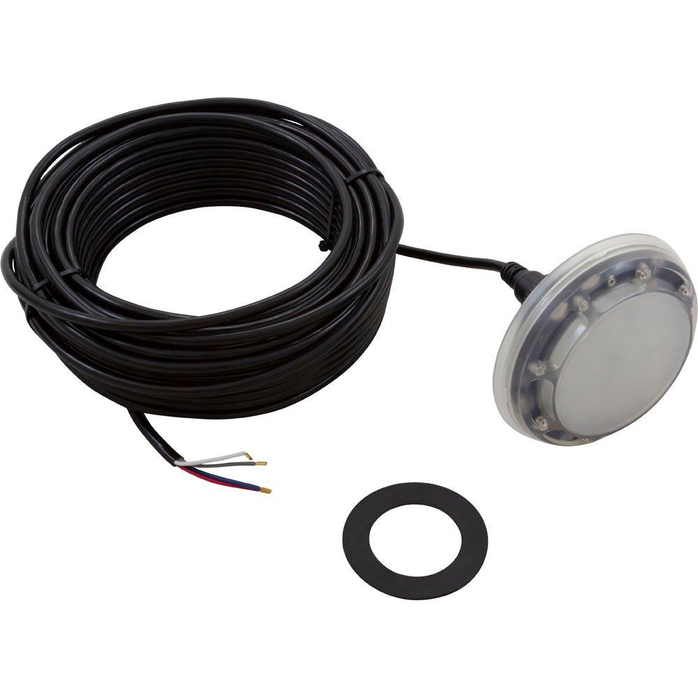PAL 12v EvenGlow Nichless LED Pool Light, 80' Cord | Leslie's Pool