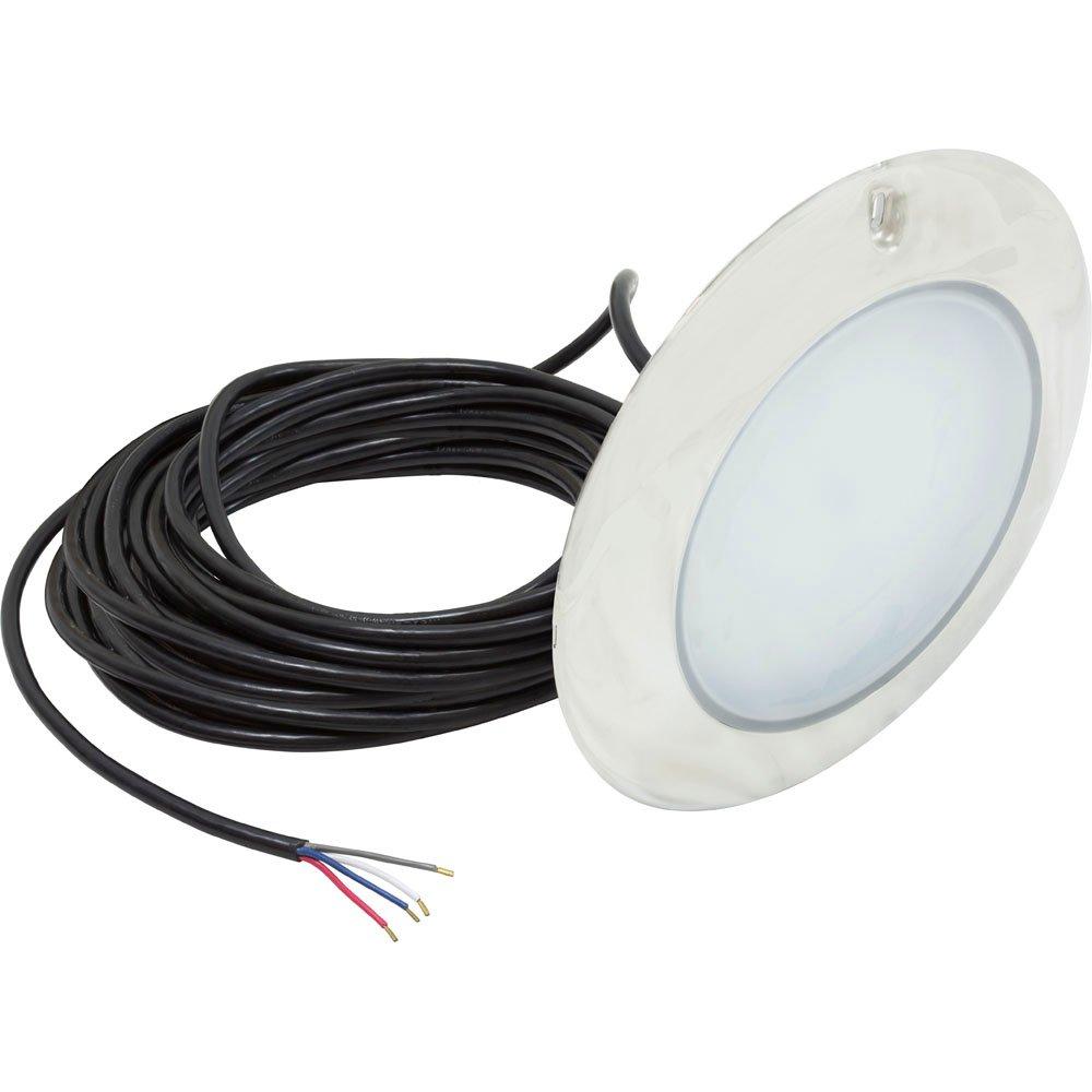 PAL Lighting  LED EvenGlow Pool Light Color Change  80 ft cord