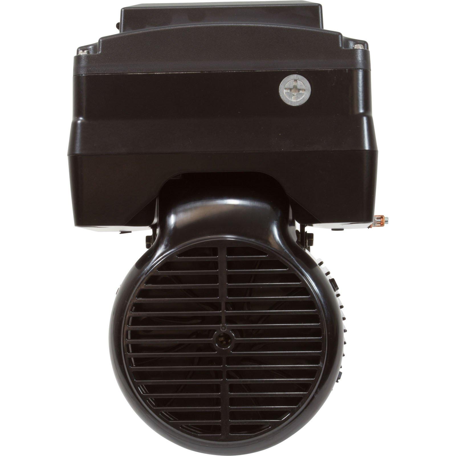 Nidec  Neptune 1.25THP 48Y C-Face Variable Speed Pool Motor