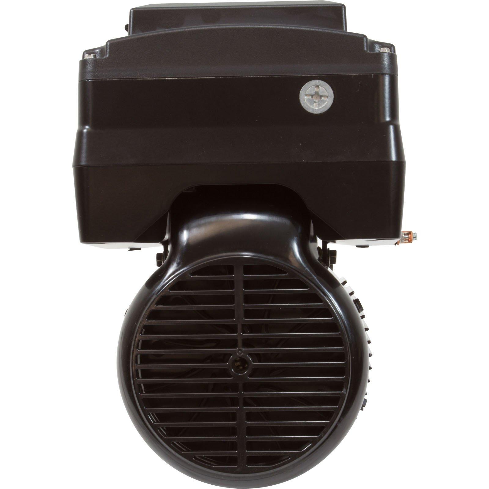 Neptune 1.65THP, 48Y C-Face Variable Speed Pool Motor