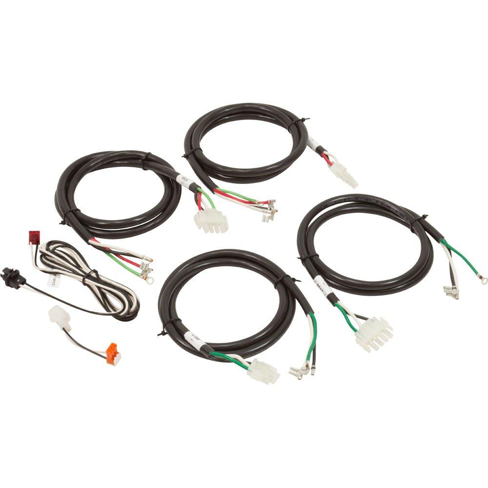 GECKO IN YE-5 CNTRL IN K8