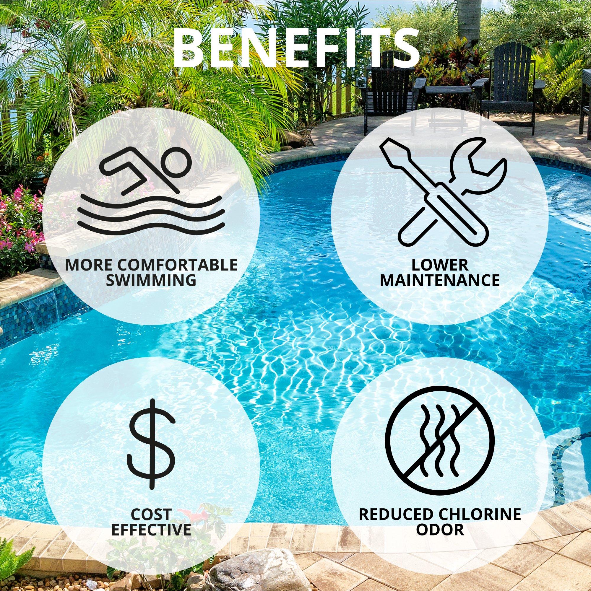 Pentair  EC-520888  Salt Cell with Cord and Power for Smaller Pools  Limited Warranty