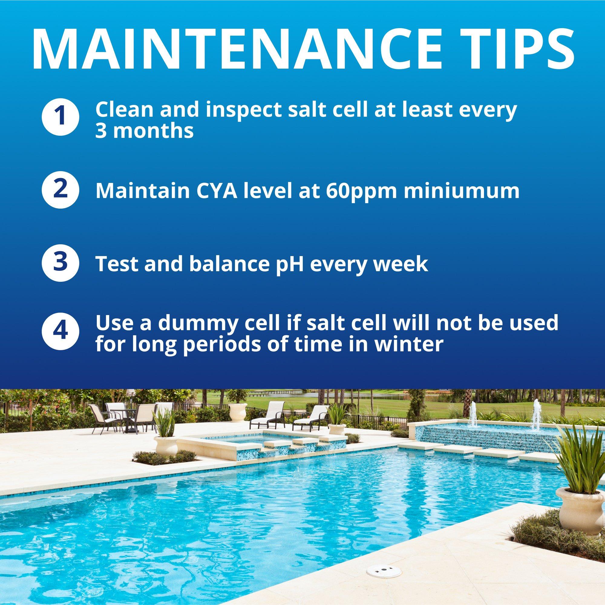 Pentair  EC-520888  Salt Cell with Cord and Power for Smaller Pools  Limited Warranty