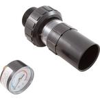 Raypak  Protege RPSF Union with Sight Glass and Pressure Gauge Kit