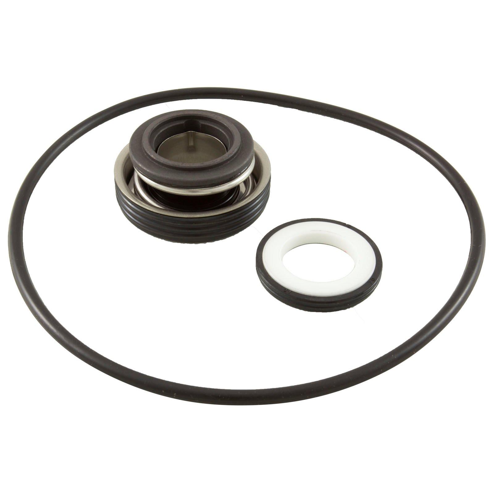 Raypak - Protege Pump Mechanical Seal with Volute O-Ring Kit for RPAGP