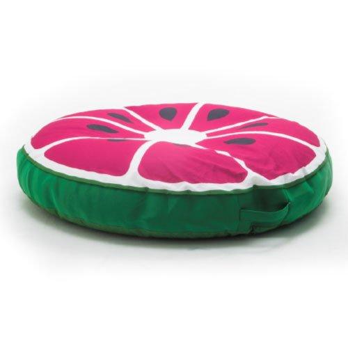 Fruit Slice Float Watermelon