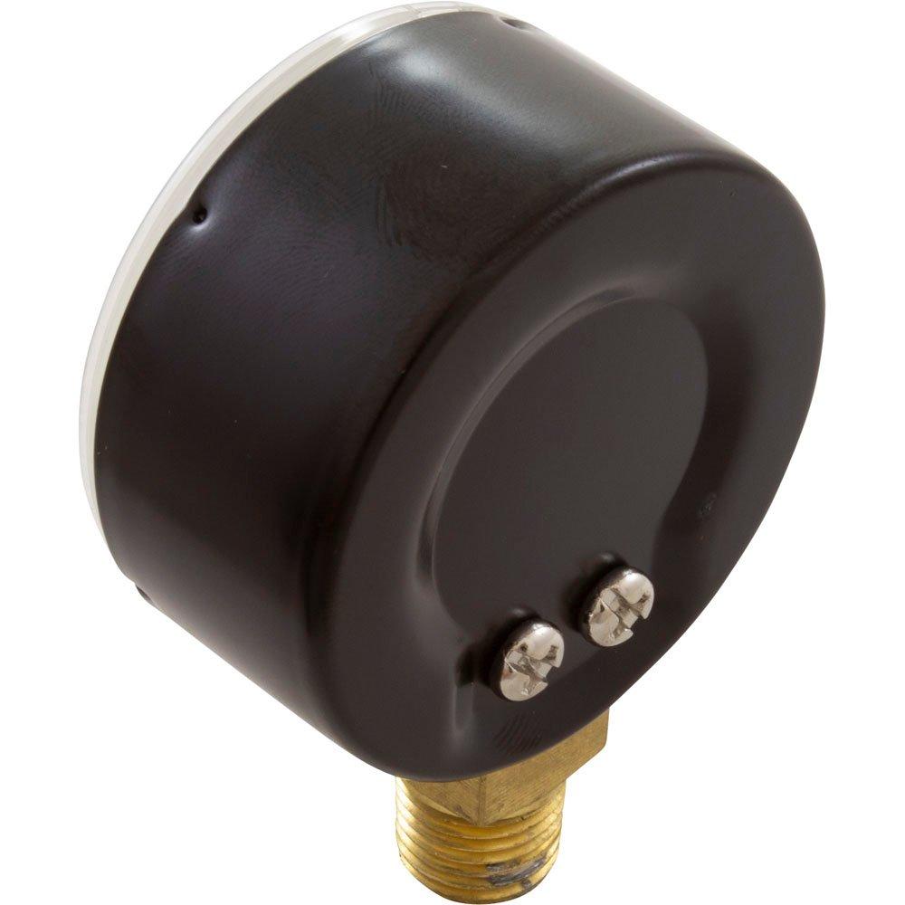 CMP 0-60 Pressure Test Gauge, Bottom Mount