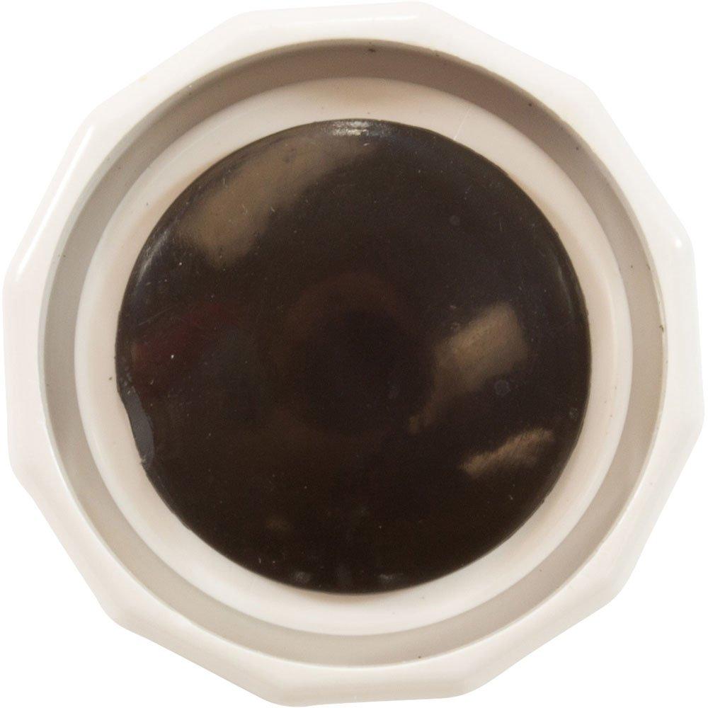 CMP Cleaner Pressure Relief Valve (Polaris)