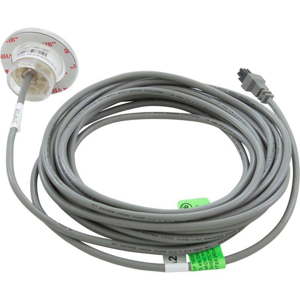 Balboa Topside, Balboa Water Group AX10A2, 1 Button, w/o Overlay