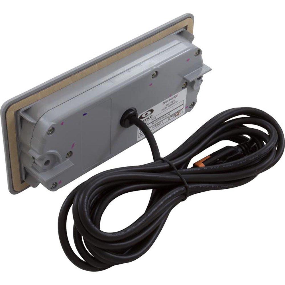 HYDRO-QUIP Topside,Gecko in.k19,4 Button,1 Pump,LED w/o Overlay lt gry