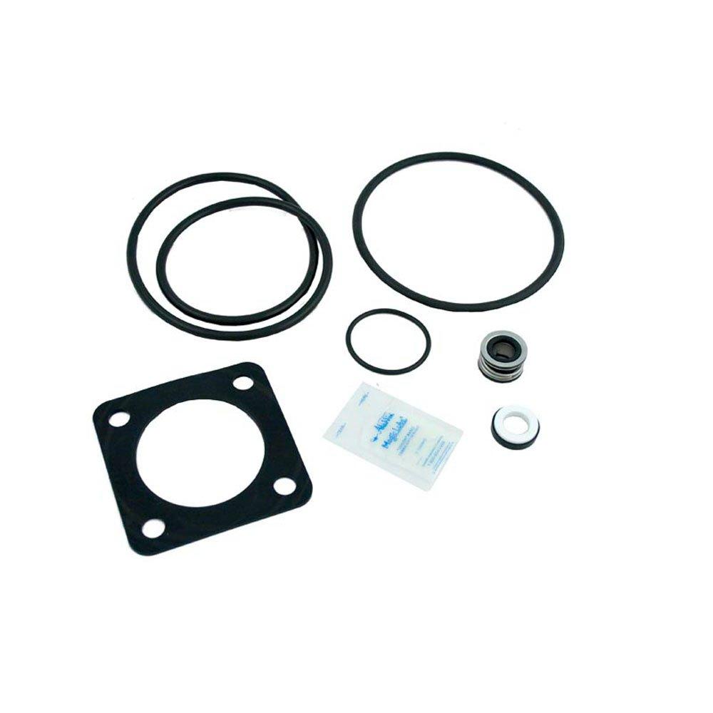 Aladdin Equip Go-Kit 6 Sta-Rite Dura Glas/Maxi Glas