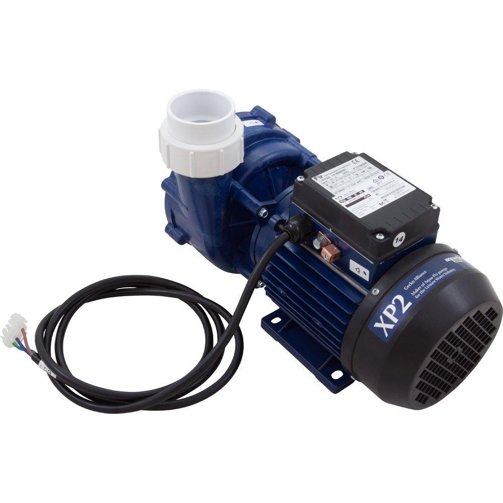 Aquaflo/Gecko Pump, Aqua Flo XP2e, 2.0hp, 230v, 1-Spd, 50HZ, OEM