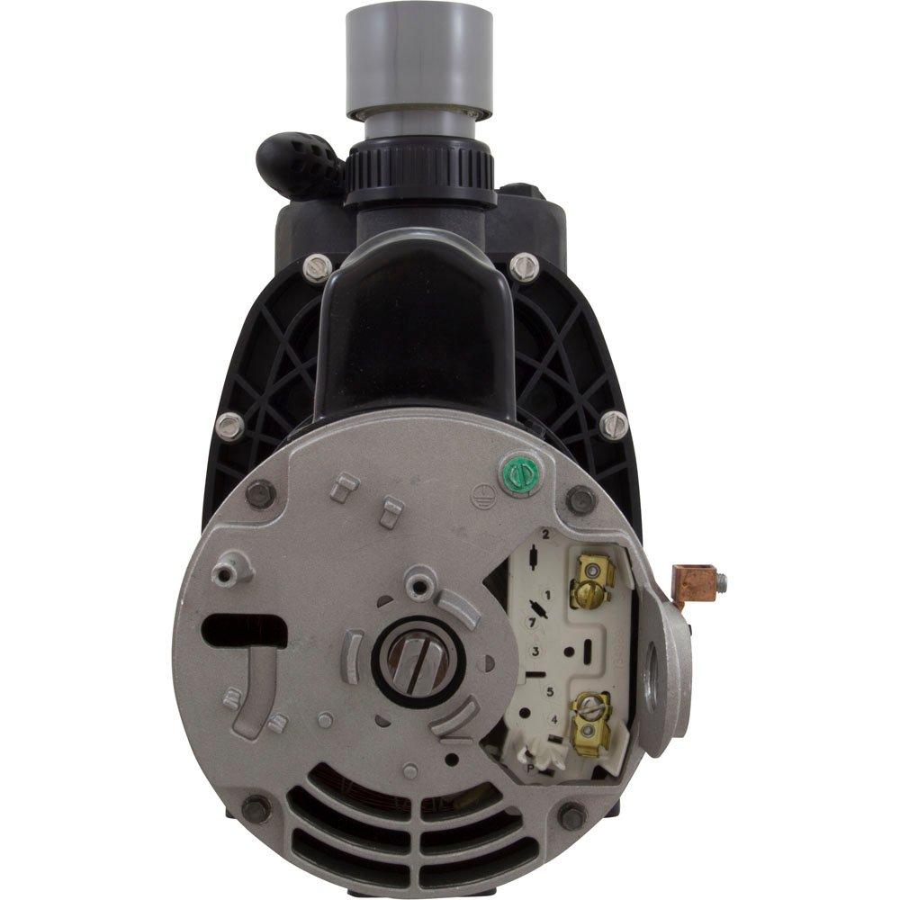 Speck Pumps IG121-1200M-000 Pump Speck S90-IV 2.0hp 115v/230v 1-Spd Max Rate IG