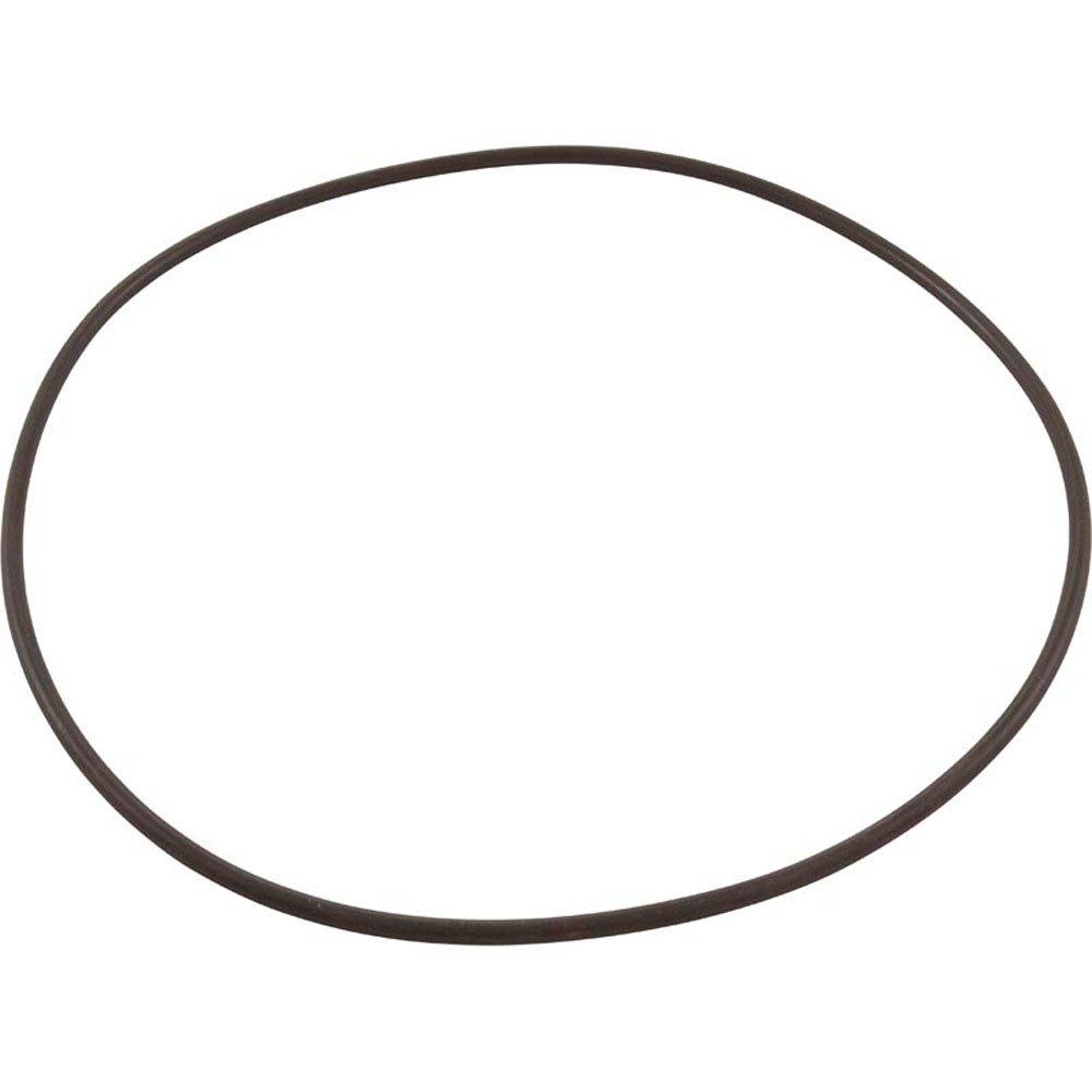 Waterco USA 620269 O-Ring, Waterco Micron TM Thermoplastic,Valve to Tank, OEM