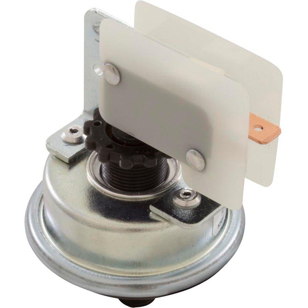 Tecmark Pressure Switch 3010P Tecmark 25A 1/8"mpt SPNO Plastic