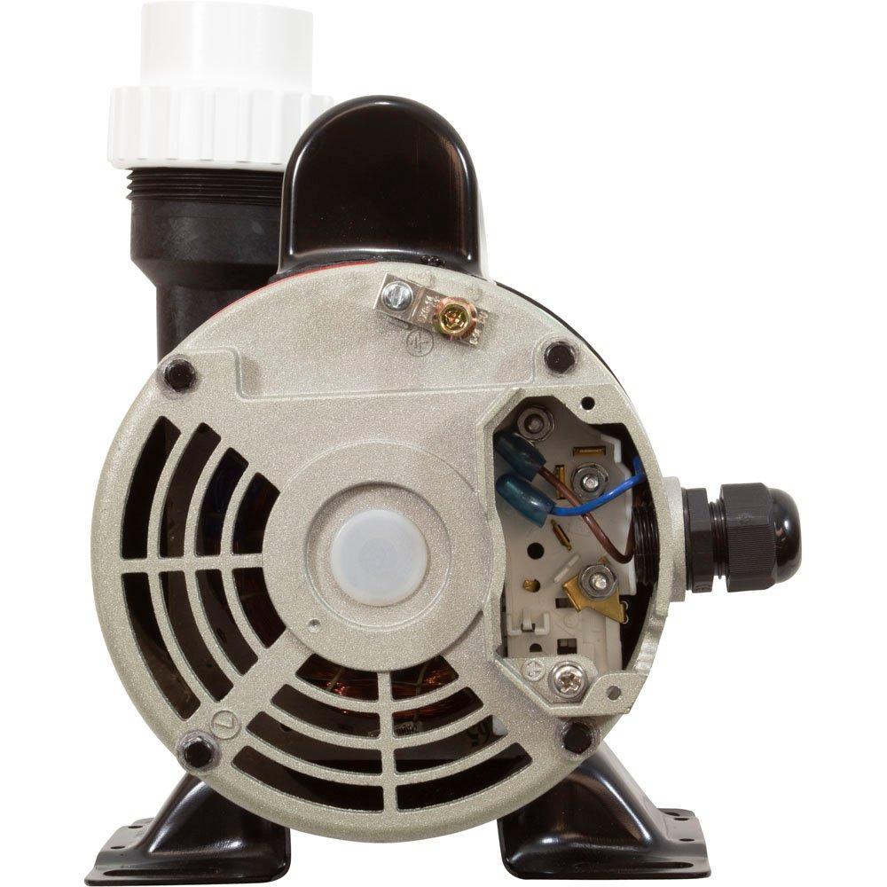 Lingxiao Pump 48WTC0153C-I Pump Circ LX WTC 1/15hp 115v/230v,48Fr,1.5",Pre 7/2011