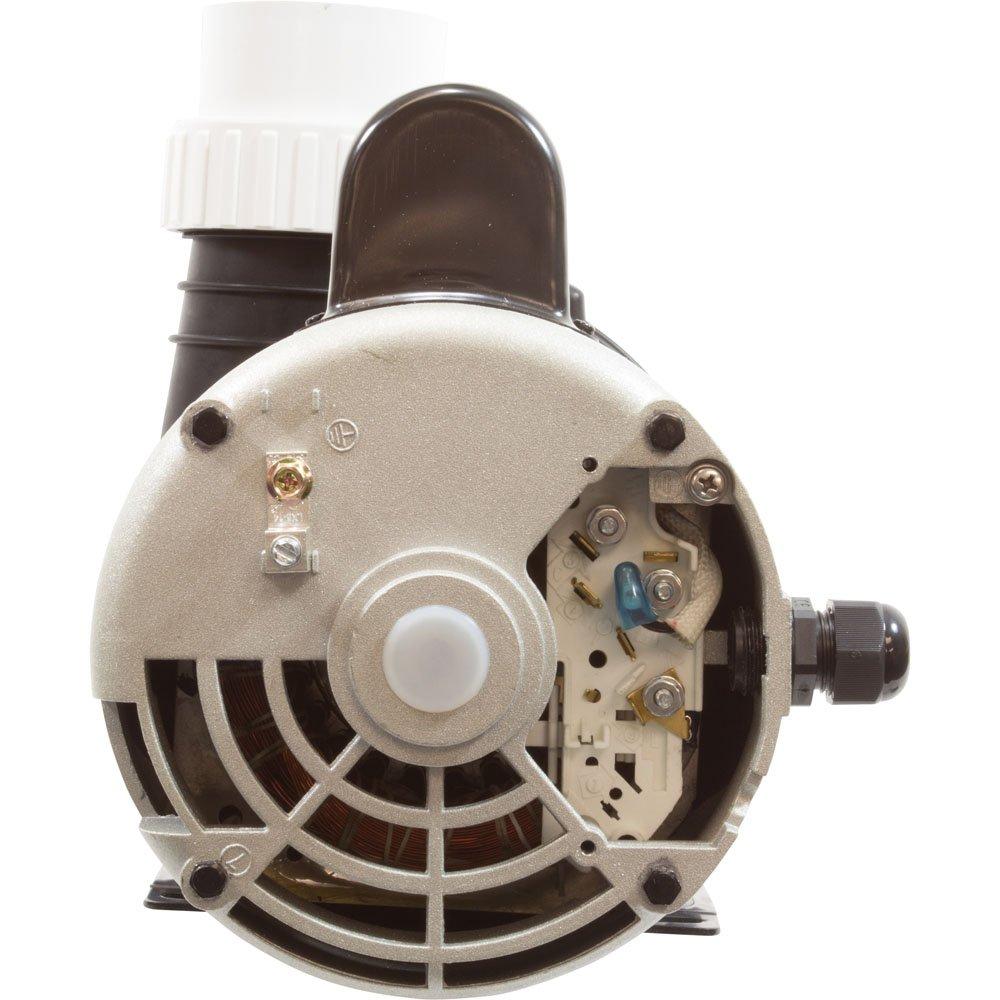 Lingxiao Pump 56WUA400A-II Pump LX 56WUA 4.0hp 230v 2-Spd 56Fr 2.5 x 2.5" SD