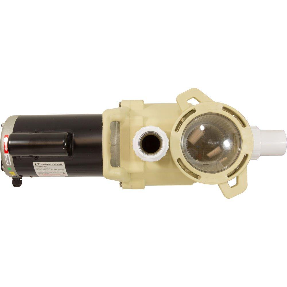 Lingxiao Pump 56SFP100-I Pump, S-LX, 1.0hp, 230v, 1-Spd, Uprate